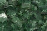 Fluorescent Green Fluorite Cluster - Diana Maria Mine, England #318829-1